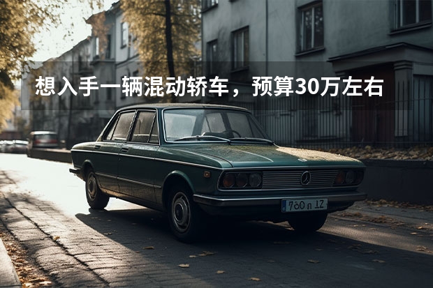 想入手一辆混动轿车，预算30万左右，有哪些车型推荐?