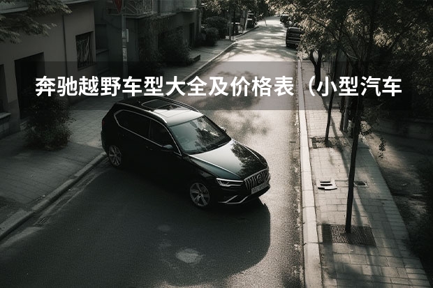 奔驰越野车型大全及价格表（小型汽车报价大全）