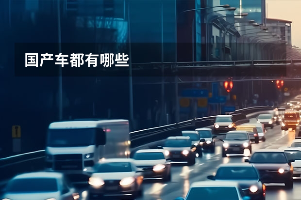 国产车都有哪些
