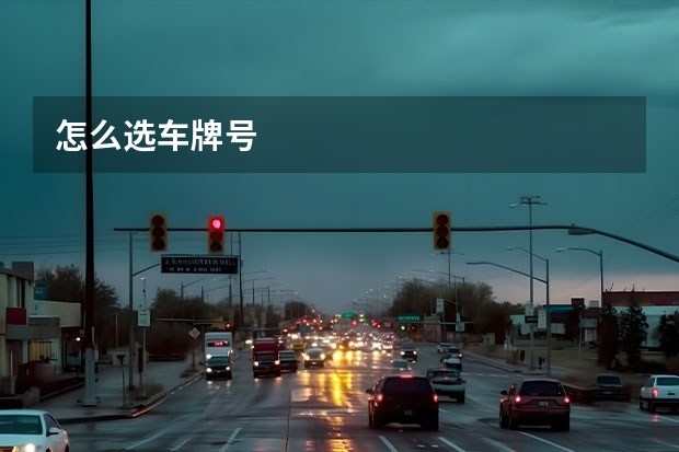 怎么选车牌号