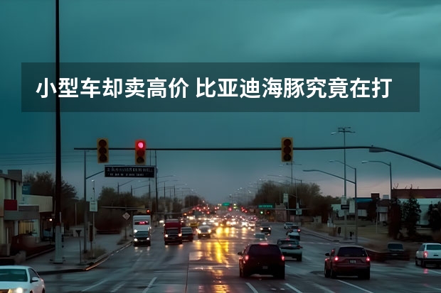 小型车却卖高价 比亚迪海豚究竟在打什么算盘？