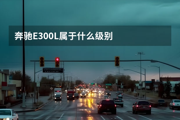 奔驰E300L属于什么级别