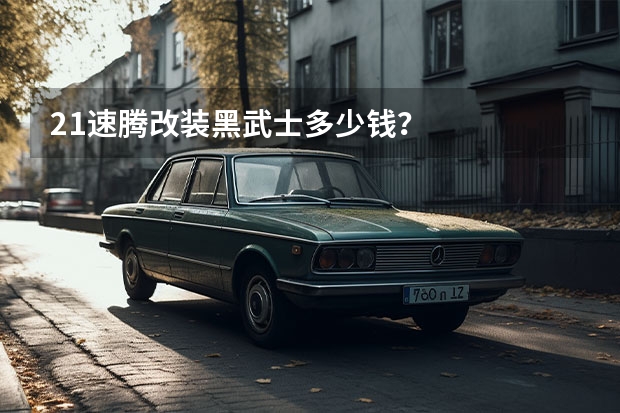 21速腾改装黑武士多少钱？