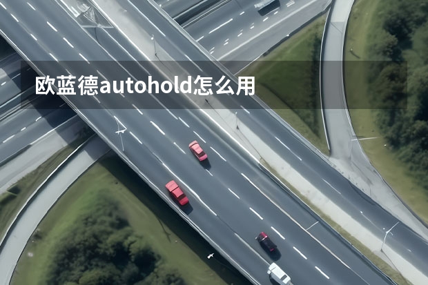 欧蓝德autohold怎么用