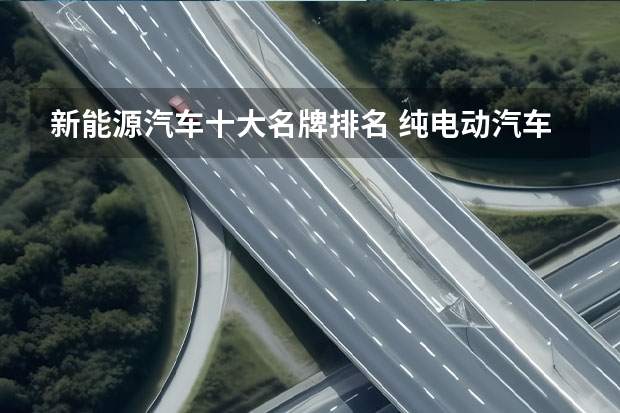 新能源汽车十大名牌排名 纯电动汽车排名十强
