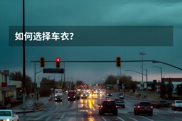 如何选择车衣？