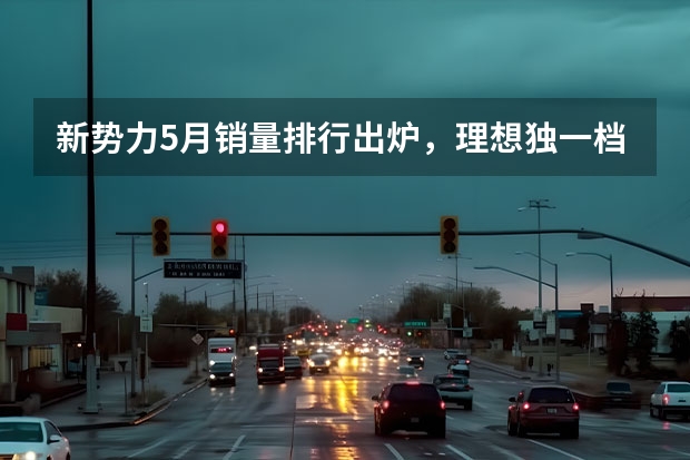 新势力5月销量排行出炉，理想独一档，蔚来小鹏锋芒不再 车企年度销量盘点，仅比亚迪、理想、吉利、岚图完成年度目标