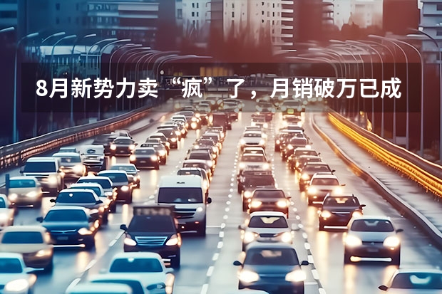 8月新势力卖“疯”了，月销破万已成为第一梯队“及格线”（罗永浩眼中最好的车 理想汽车8月交付2711辆，创单月新高）