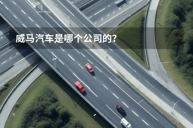 威马汽车是哪个公司的？