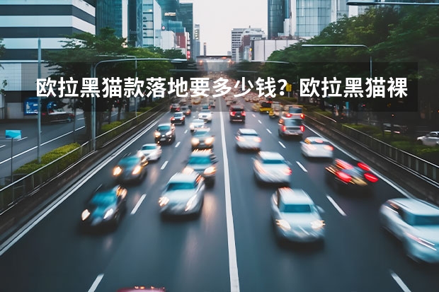 欧拉黑猫款落地要多少钱？欧拉黑猫裸车价
