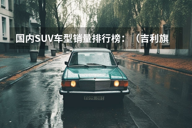 国内SUV车型销量排行榜：（吉利旗下销量第二的SUV，吉利缤越哪一款值得买？）