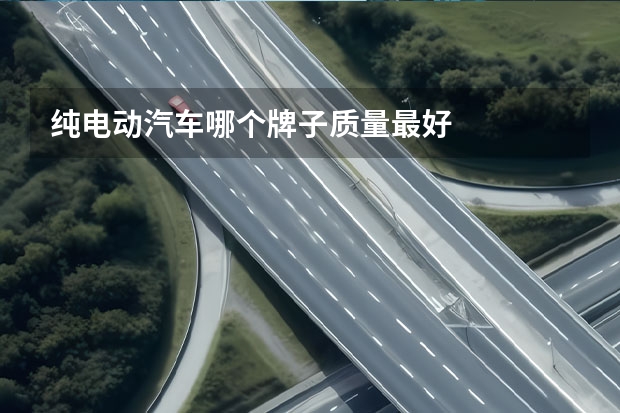 纯电动汽车哪个牌子质量最好