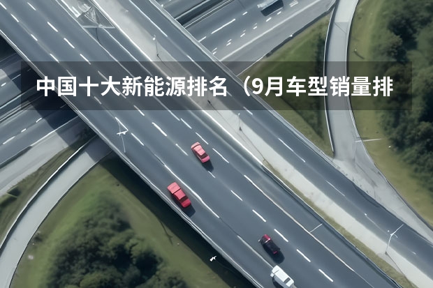 中国十大新能源排名（9月车型销量排名出炉 五菱干倒特斯拉排名新能源车销冠）