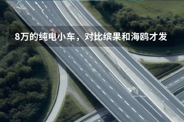 8万的纯电小车，对比缤果和海鸥才发现这款车才是最佳选择？（30天卖34573辆，海外开订即火，五菱缤果怎会那么香？）