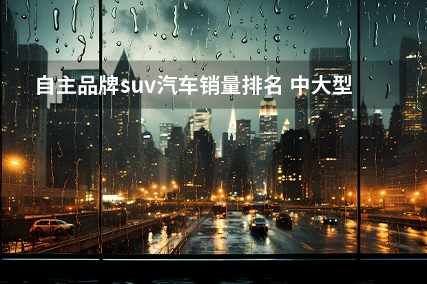 自主品牌suv汽车销量排名 中大型SUV销量榜，自主品牌压宝马X5 当第一