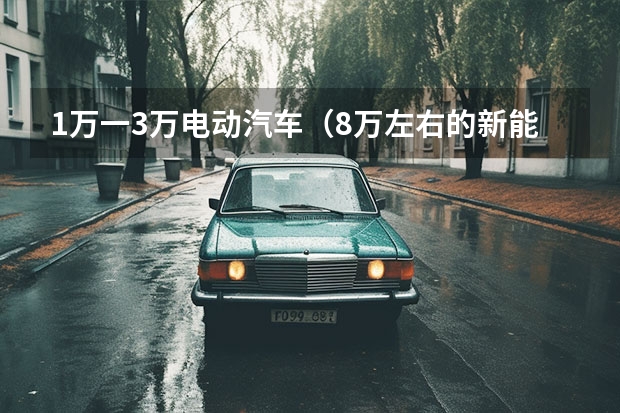 1万一3万电动汽车（8万左右的新能源电动汽车）