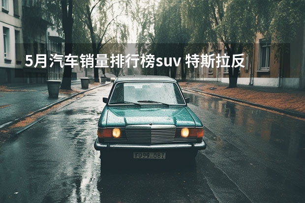 5月汽车销量排行榜suv 特斯拉反超比亚迪成“榜一”，5月SUV销量排行榜出炉