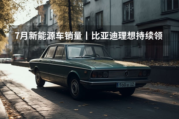 7月新能源车销量丨比亚迪/理想持续领跑，合资车企开始反击（理想11月销量）