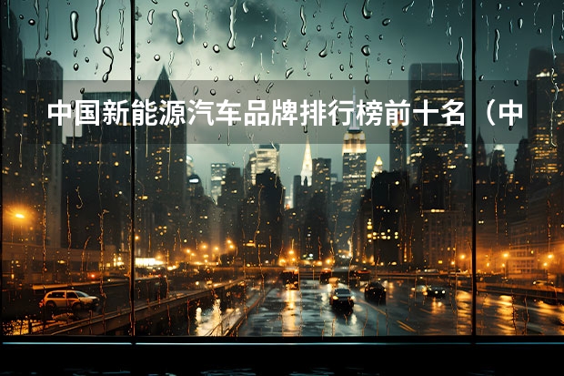 中国新能源汽车品牌排行榜前十名（中国车企排名前十名——解析中国汽车市场现状）