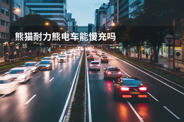 熊猫耐力熊电车能慢充吗