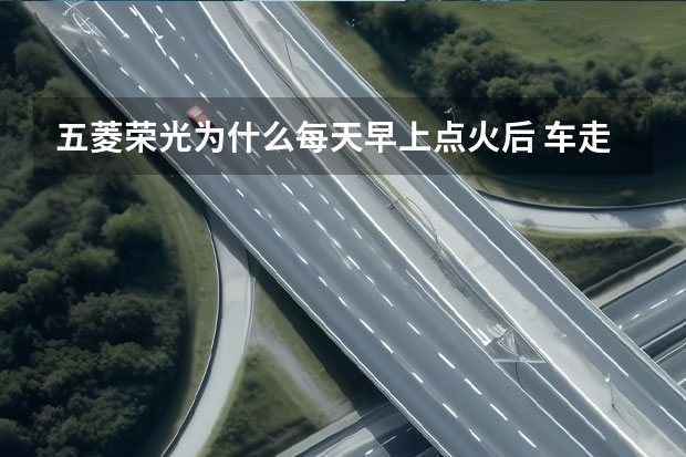 五菱荣光为什么每天早上点火后 车走不了，一走就没??