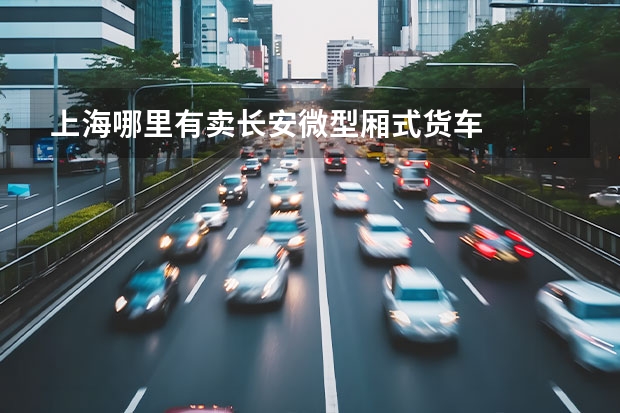 上海哪里有卖长安微型厢式货车