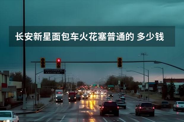 长安新星面包车火花塞普通的 多少钱一个？
