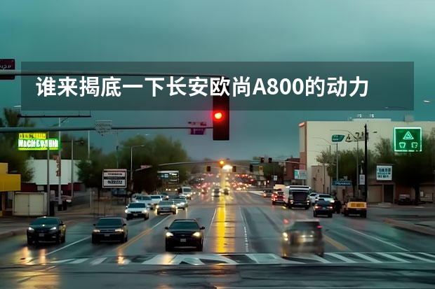 谁来揭底一下长安欧尚A800的动力方面？（长安欧尚汽车，现在跑到19000公里，油表显示10.9油耗，7月15号加300块油只跑280公里）