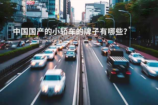 中国国产的小轿车的牌子有哪些？