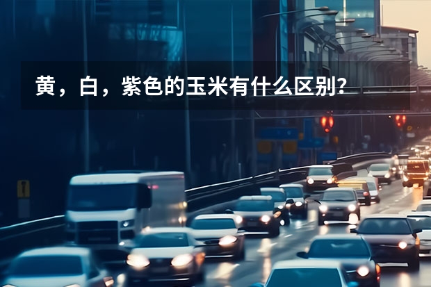 黄，白，紫色的玉米有什么区别？