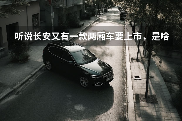听说长安又有一款两厢车要上市，是啥样的啊？（长安有那些车）