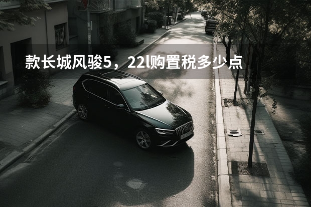 款长城风骏5,2.2l购置税多少点