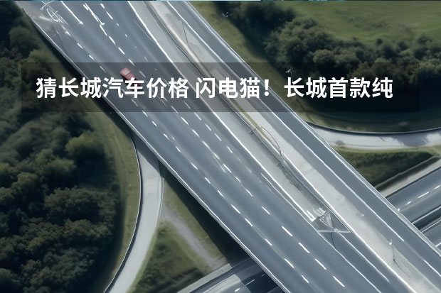 猜长城汽车价格 闪电猫!长城首款纯电动超跑曝光
