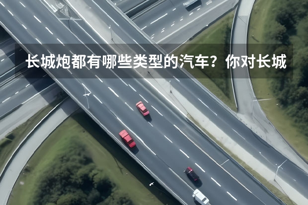 长城炮都有哪些类型的汽车？你对长城炮了解多少？
