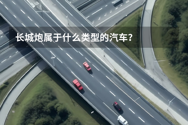 长城炮属于什么类型的汽车？
