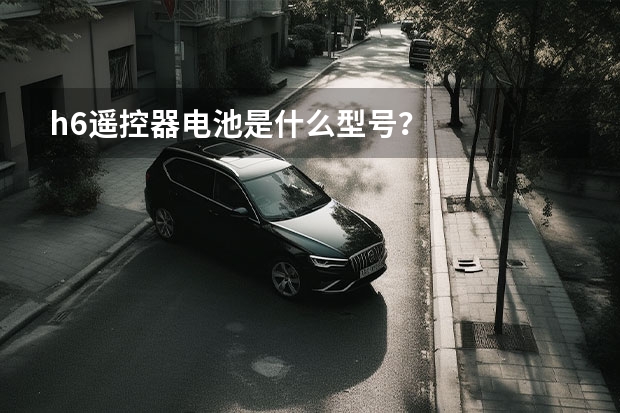 h6遥控器电池是什么型号?