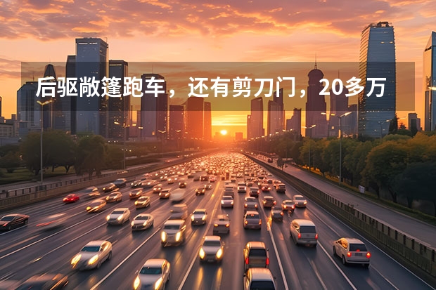 后驱敞篷跑车，还有剪刀门，20多万就能买到？（逛车展不迷路，长城汽车多款SUV、皮卡齐发，总有一款适合你）