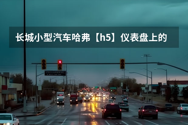 长城小型汽车哈弗【h5】仪表盘上的各种故障灯都有什么？