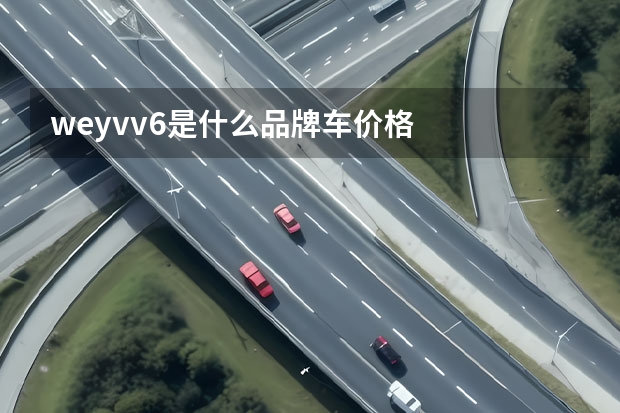 weyvv6是什么品牌车价格
