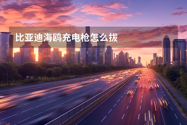 比亚迪海鸥充电枪怎么拔