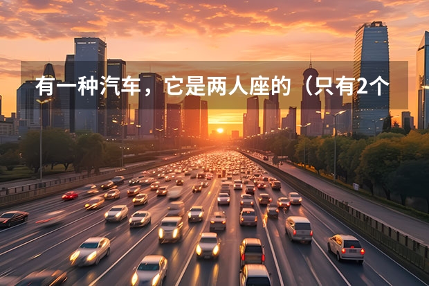 有一种汽车，它是两人座的（只有2个座位），外型很小，请问这种车型叫什么名字？