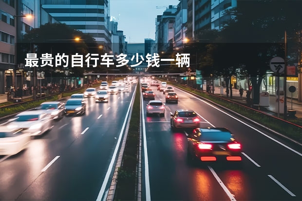 最贵的自行车多少钱一辆