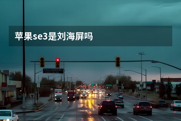 苹果se3是刘海屏吗
