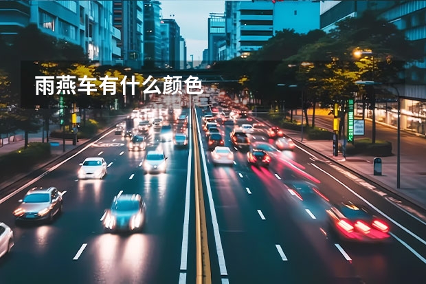 雨燕车有什么颜色