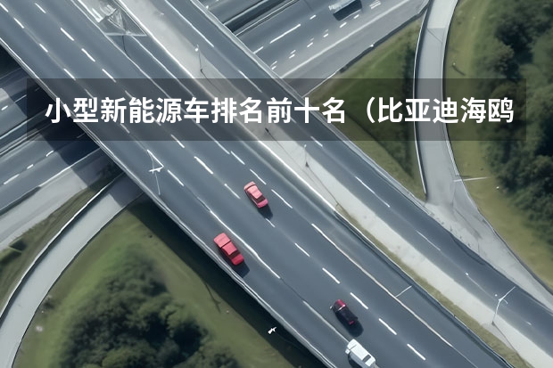 小型新能源车排名前十名（比亚迪海鸥新能源汽车(比亚迪海鸥纯电动微型轿车)）