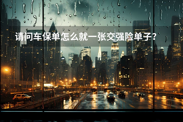 请问车保单怎么就一张交强险单子?