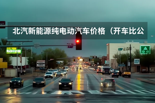 北汽新能源纯电动汽车价格（开车比公交省钱？“微型纯电新晋萌主”一汽奔腾小马来啦）