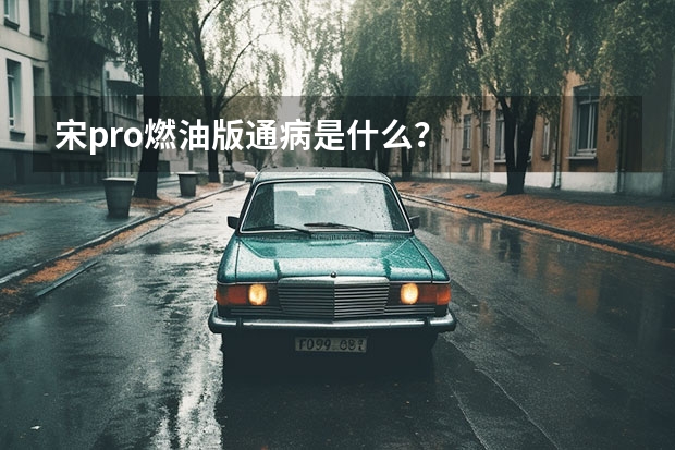 宋pro燃油版通病是什么？
