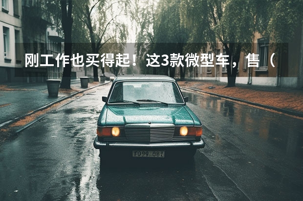 刚工作也买得起！这3款微型车，售（2万多电动汽车）