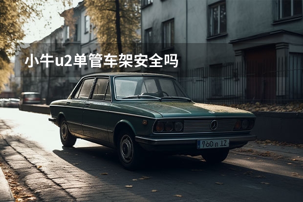 小牛u2单管车架安全吗